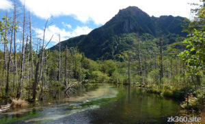 岳沢湿原