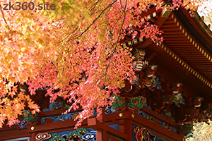 高尾山飯綱権現堂の横の紅葉