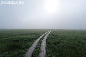 霧の尾瀬ヶ原