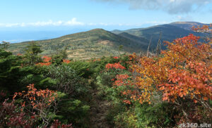 杉ヶ峰タイトル写真3