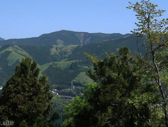 陣馬山タイトル写真1