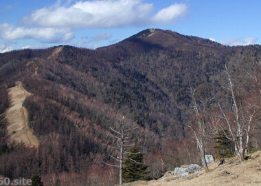 雲取山タイトル写真2