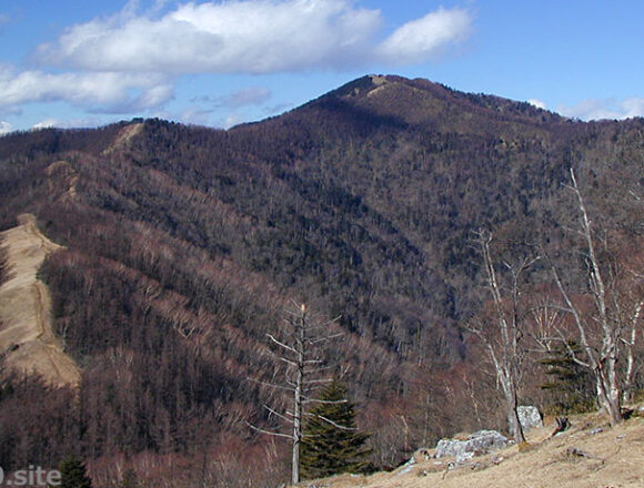 雲取山タイトル写真2