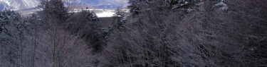 蓼科山の雪原