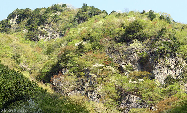 川乗林道の春景色