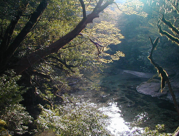 屋久島の淀川