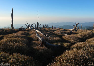 大台ケ原・正木嶺の朝