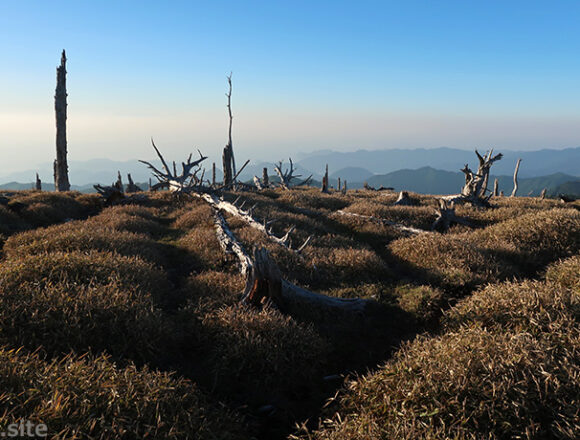 大台ケ原・正木嶺の朝