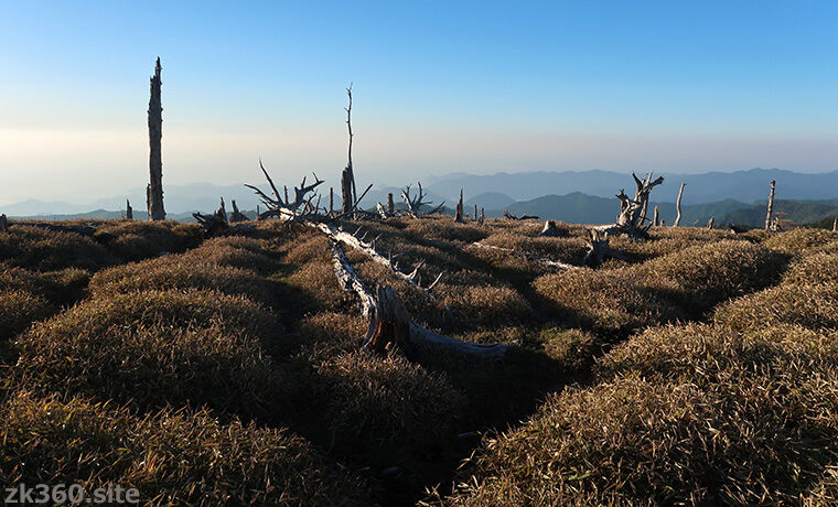 大台ケ原・正木嶺の朝