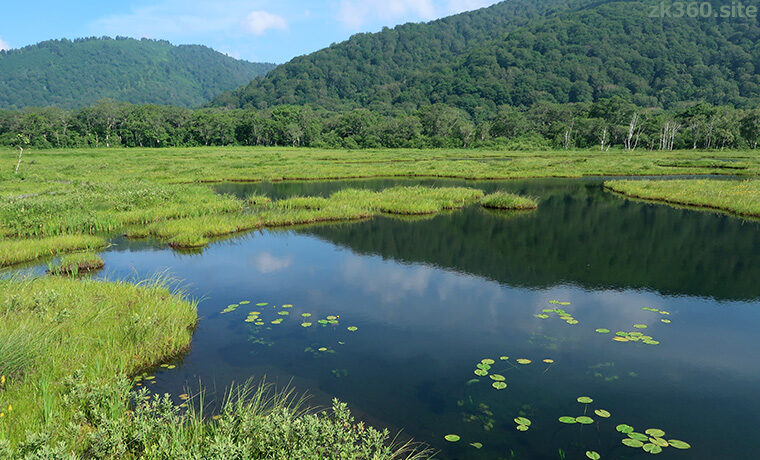 夏空を映す尾瀬ヶ原の池塘