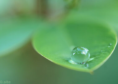 水滴に写る夏空の絶景