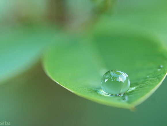 水滴に写る夏空の絶景