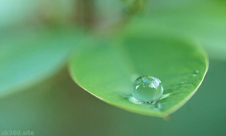 水滴に写る夏空の絶景