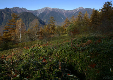 夜叉神峠から望む秋の白根三山
