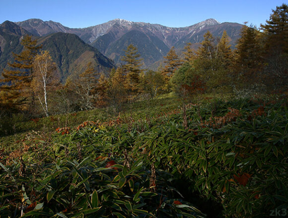 夜叉神峠から望む秋の白根三山