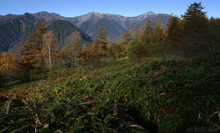 夜叉神峠から望む秋の白根三山