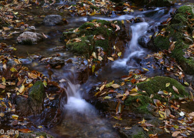 落葉が彩る晩秋の渓流
