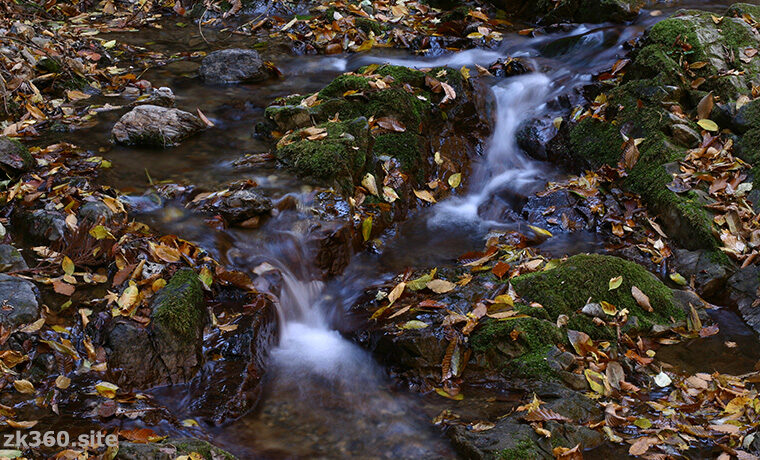 落葉が彩る晩秋の渓流