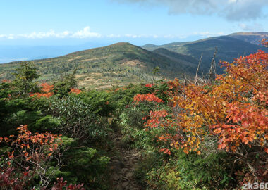 杉ヶ峰タイトル写真3