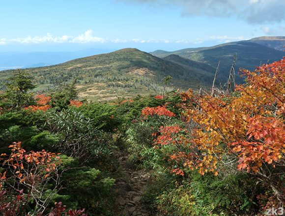 杉ヶ峰タイトル写真3